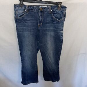 Phat Fashion Silver Label Straight Jeans Women’s Size 18 Blue Zip Fly Cowgirl